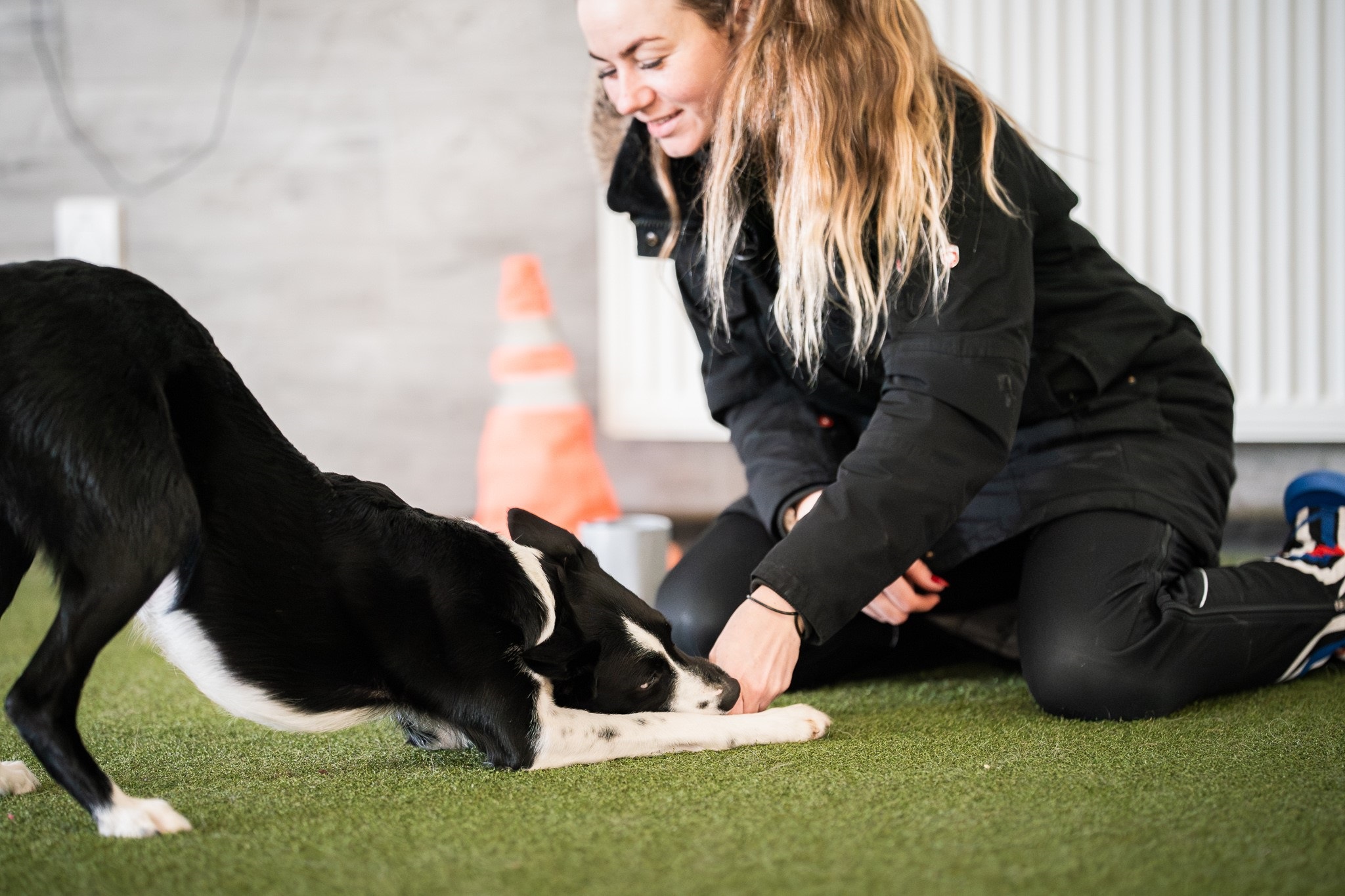 Dog Agility Training